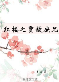 （红楼同人）红楼之贾赦庶兄